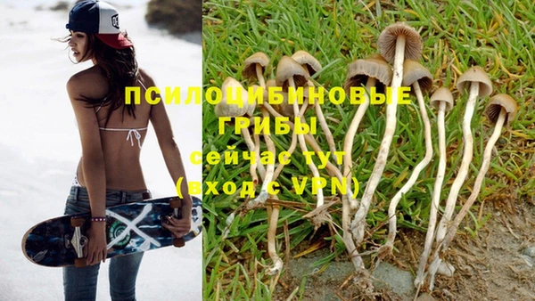 герыч Дмитровск