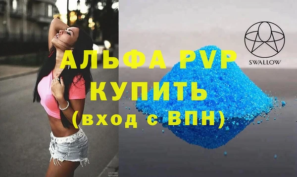 сатива Гусь-Хрустальный