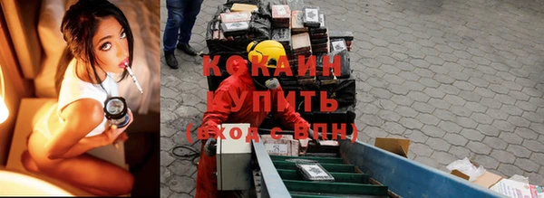 гидропоника Гусев